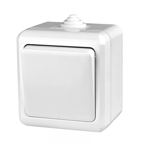 Выключатель 1-кл. ОП Dita IP54 10А 250В бел. TOKOV LIGHT TKL-DT-V1-C01-IP54